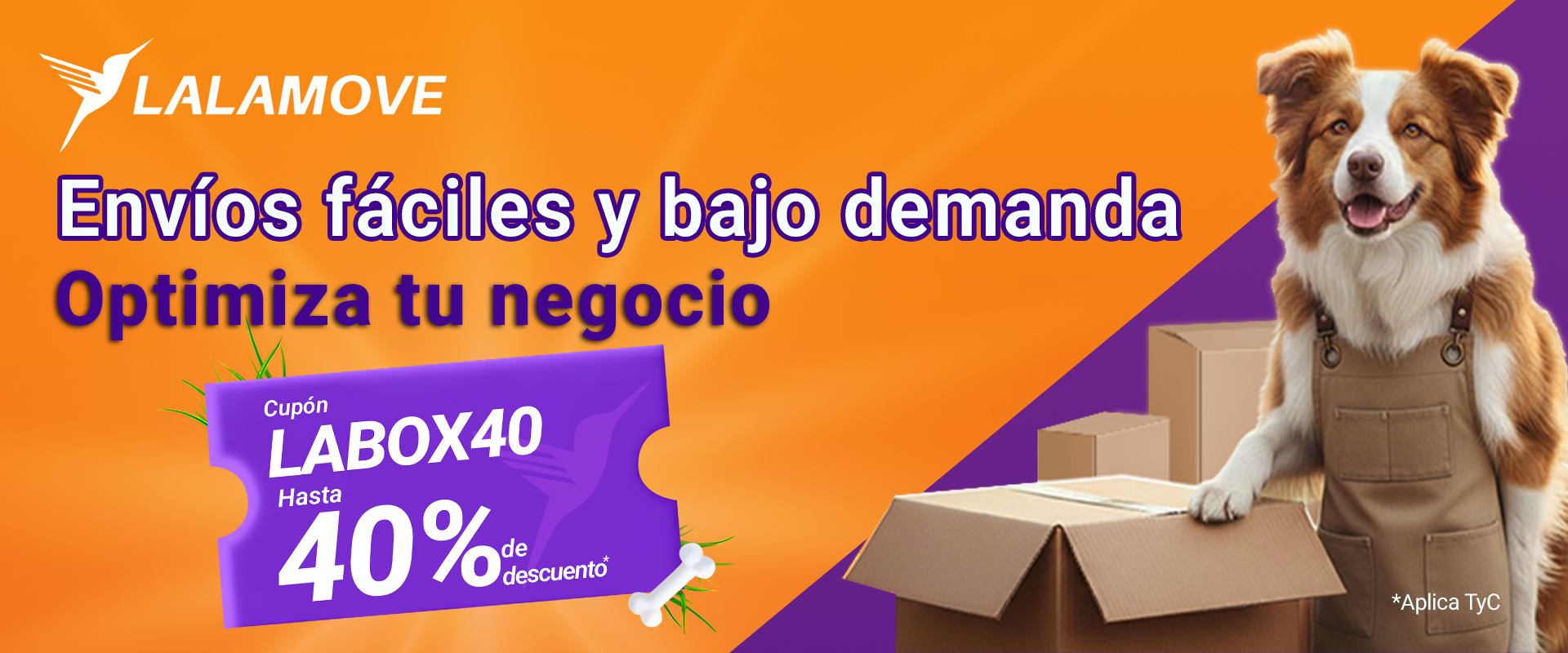 1920x800-Jan-05-2026-03-29-13-4707-PM