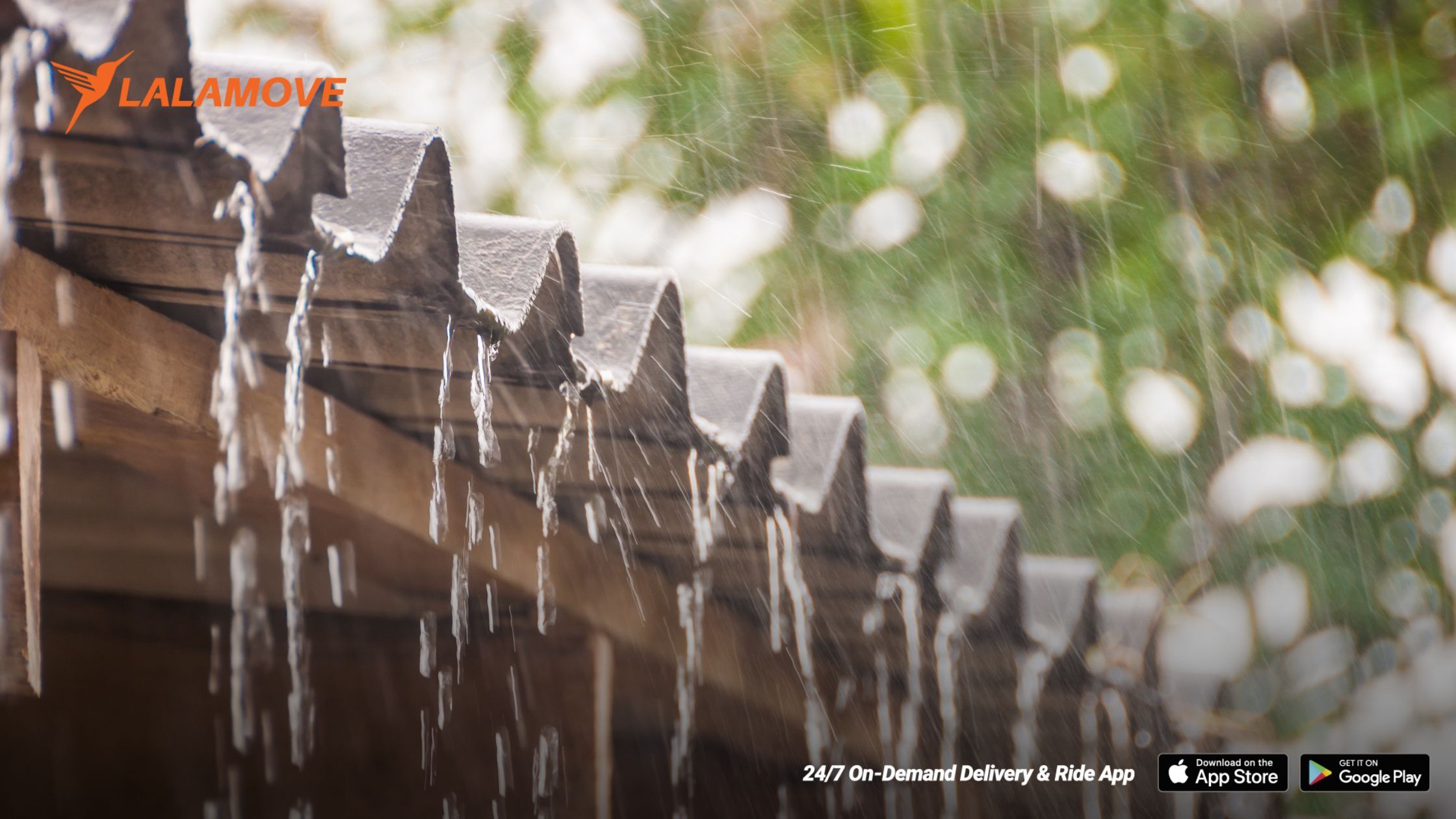 8 Essential Items Malaysians Should Prepare For La Niña