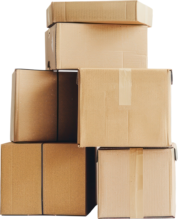 Bulk Orders & Same-Day Delivery