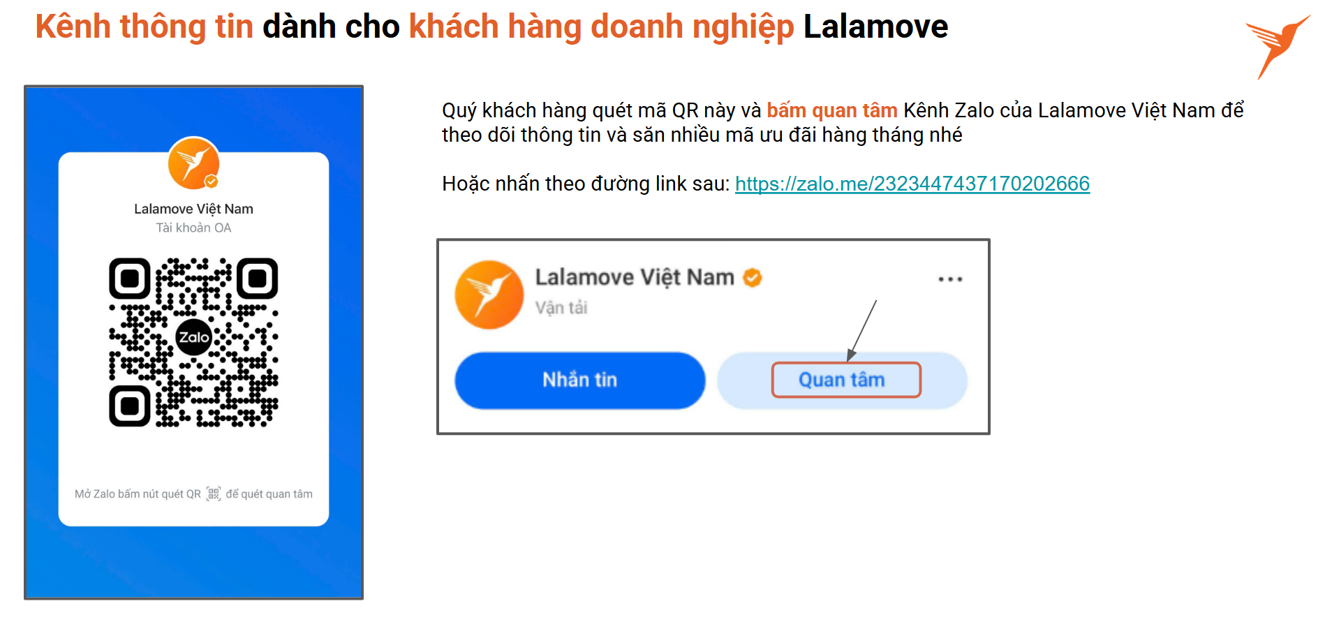 Zalo OA VN